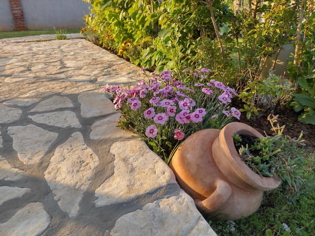 Apartmani Bernarda Πόρετς Εξωτερικό φωτογραφία